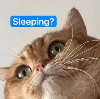 😴
