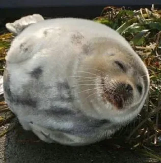 😊