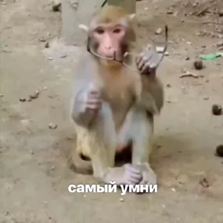 😳