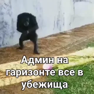 😳