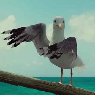 🦜