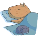 😴