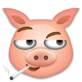 🐷