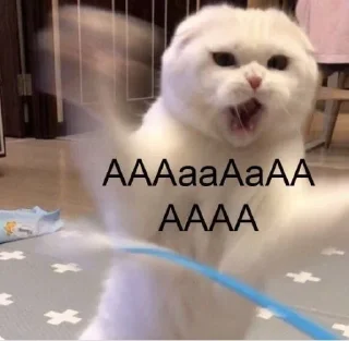😱