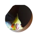😃