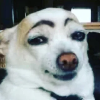 😉