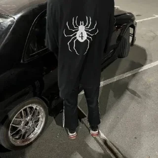 🕷