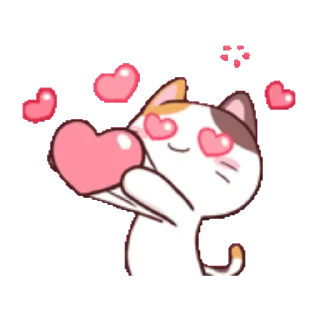 ⭐