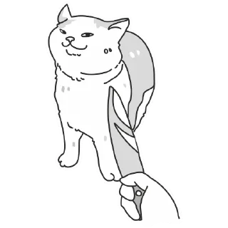 😺