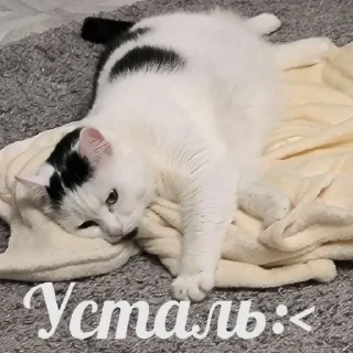 🥱