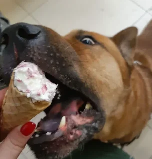 🍦