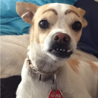 😠