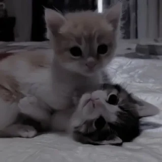 ❤️