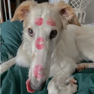 😘