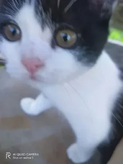 🧐