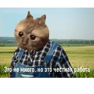 ☺️