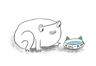 😺