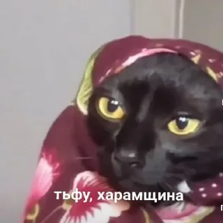 🤨