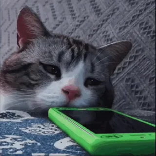 🥺