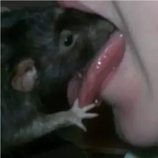 😚