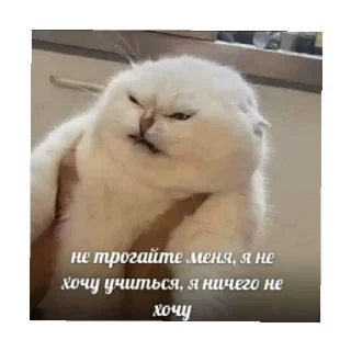 😩