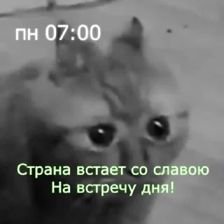 ⏰