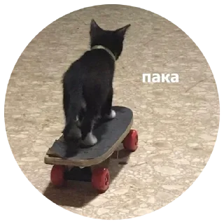 👋