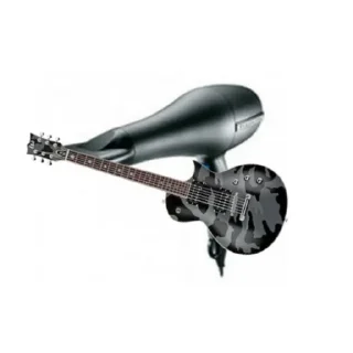 🎸