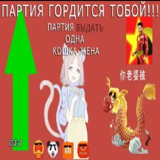 🐱