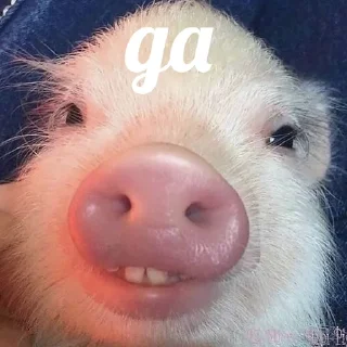 👌