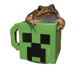 🐸