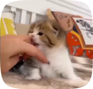 🥺