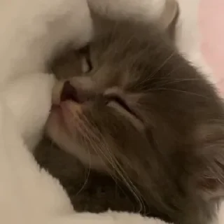 ☺️