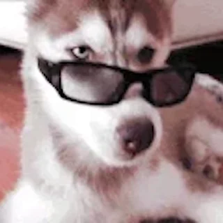 👓