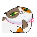 😌