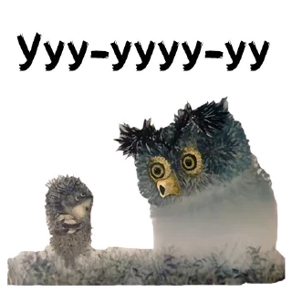 🦉