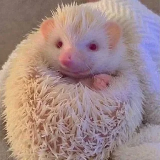 🥰
