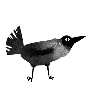 🐦‍⬛