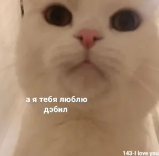 💓