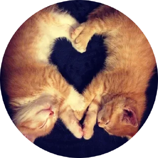 ❤️