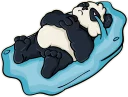 🐼