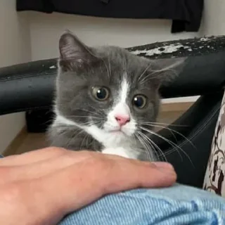 😨