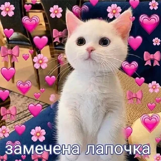 🌸