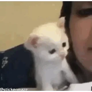 😚