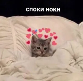 🛏