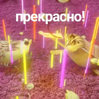 📦
