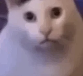 🤨