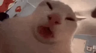 👅