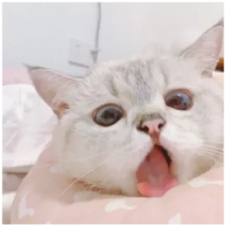 🤢