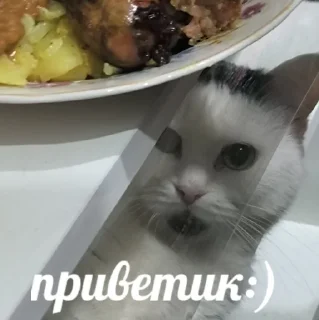 👀